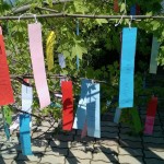 Auf die Krone des Maibaumes kamen auf laminierten Papierschleifen die Namen der Mädchen, der Lehrerinnen und der Angestellten
