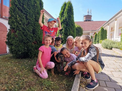 106172548_2353455941628585_2926636236190830394_n