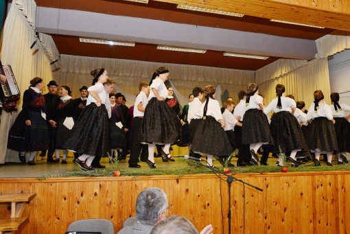 15304502_739017642916655_7135110436797068470_o