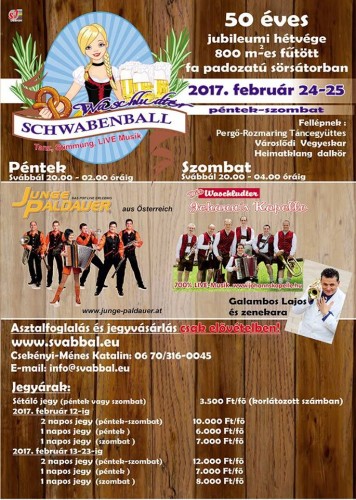 15894798_1161792933870598_326047336164135818_n