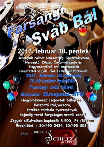 15970759_1309473175783179_2093061627_n