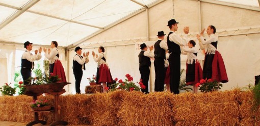 1603369413064_Die Taenzer auf dem Bawazer Bohnenfest 2018