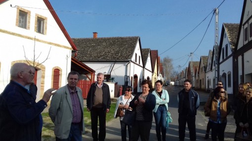 17761083_806809292804156_3372529490472739563_o