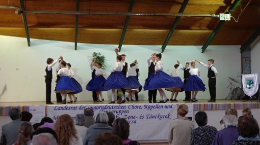 2015-03-29  JUGENTANZ WEMEND L1000881 0119 Reife Trauben Willand NZ