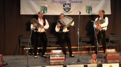 2015-05-09_Urkut_Altmusiker_S1030434_0185_Hajoscher_Knopfharmonika