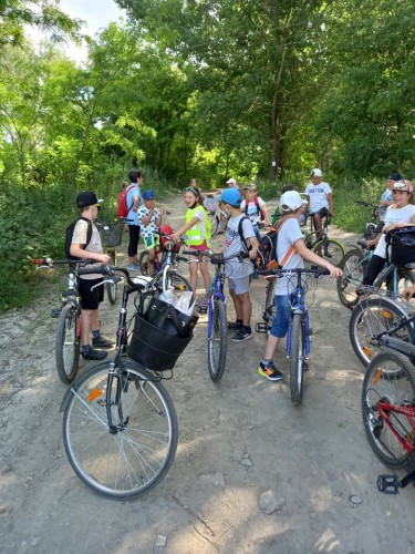 201573494_527869631987020_7017713033636491312_n