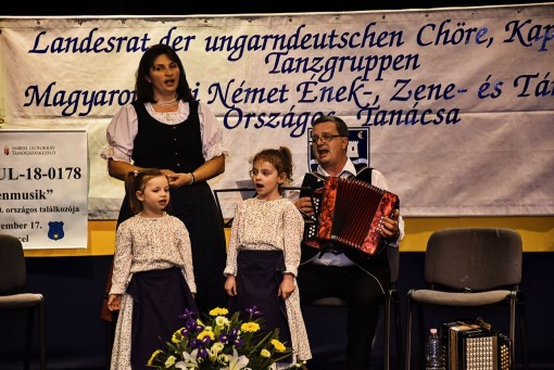 2018-11-17 FAMMUSIK DSC_0587 052