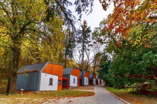 44684546_2206240142779646_6377764312705925120_o