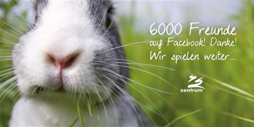 6000likenyuszi