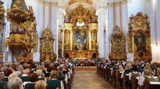 66519261_345068012828000_2519780690346639360_o