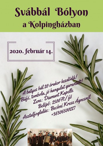 Boly_2020