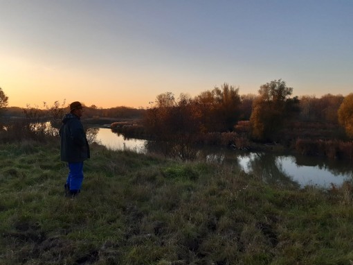 Donau-Auen bei Sonnenuntergang