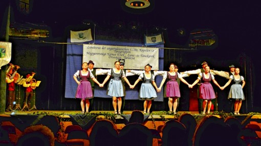 HD 2014-10-19 Tanz Törökbalint  L1010005 0036 Bogdan