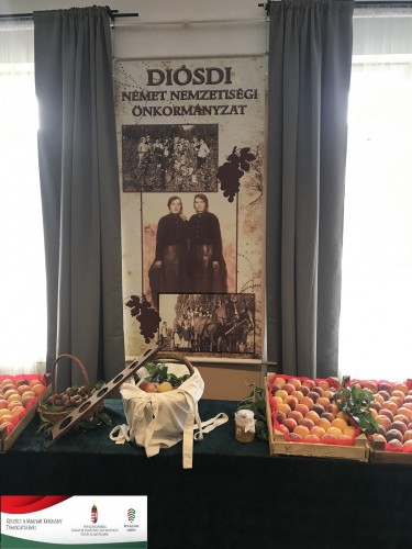 IMG-8241_logós
