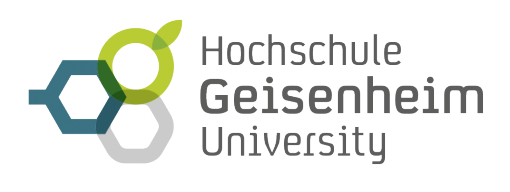 LOGO_HS-GM_rgb