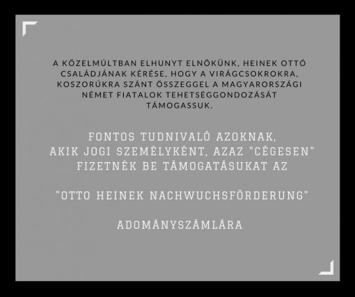 Otto_Heinek_ Nachwuchsforderung_tajekoztato