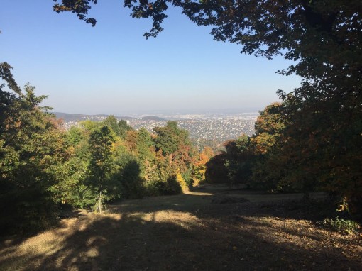 Schulverein 2018 Aussicht von oben