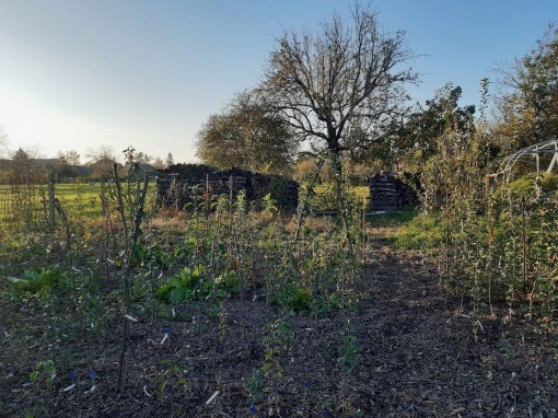 Schwaebischer Elfengarten