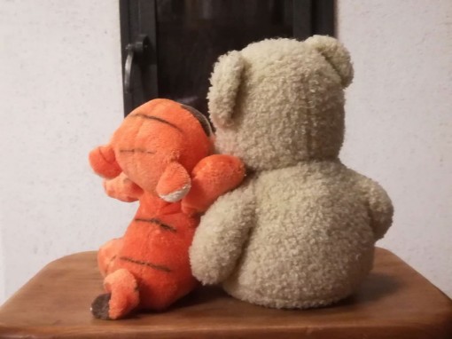 Tiger und Bär