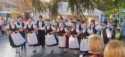 UJFLUCH_WEINLESE