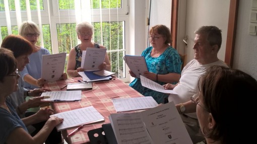 WP_20180709_16_23_27_Pro