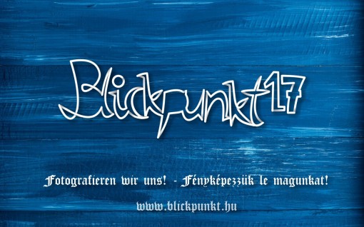 blickpunkt_2017