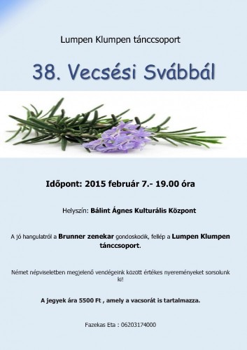 svabbal-2015-februar-07-plakat