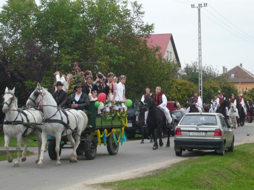 szuretibal 2010 274